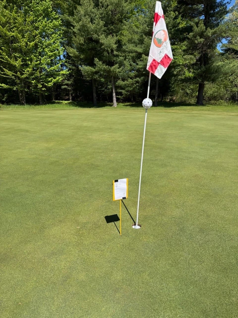Flagstick on the green, distance in view